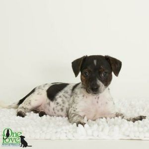 Meet your Posher, Wendy